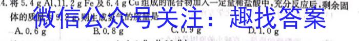 ［濮阳二模］濮阳市2023年高三年级第二次模拟考试化学