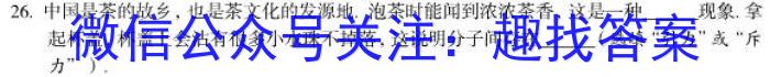 2023年山西中考千校模拟试题（二）l物理