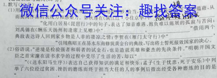 2022-023学年安徽省九年级下学期阶段性质量检测（六）语文