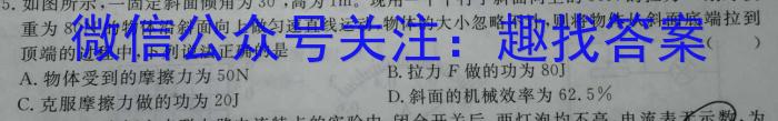 安徽省2022-2023学年九年级联盟考试（二）物理`