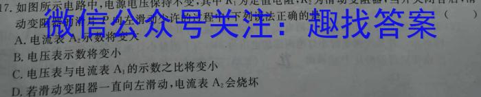 安徽省2023年无为市九年级中考模拟检测（二）物理.