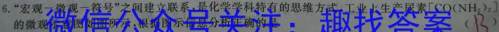 山西省2022-2023学年度下学期八年级质量评估（23-CZ141b）化学