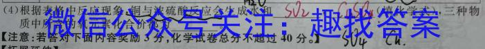 2023年普通高等学校招生全国统一考试冲刺预测·金卷(六)化学