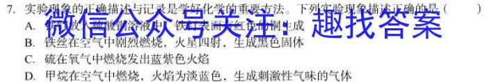 新向标教育 淘金卷2023年普通高等学校招生考试模拟金卷(一)化学