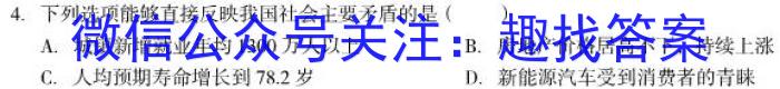 2023年河南省初中学业水平考试全真模拟(二)2政治试卷d答案