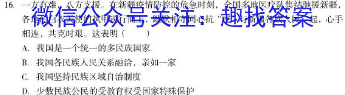 河南大联考2023年高三年级4月联考政治试卷d答案
