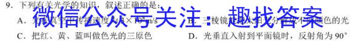 河南省2024-2023学年中原名校中考联盟测评（一）q物理