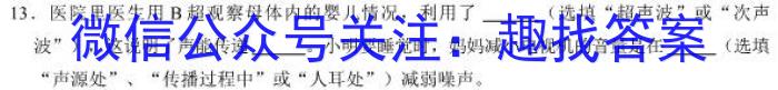 陕西省西安市西咸新区2023年初中学业水平考试模拟试题（一）B版l物理