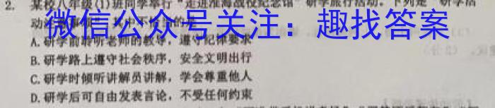 2023届河南省中考适应性检测卷（23-CZ139c）&政治