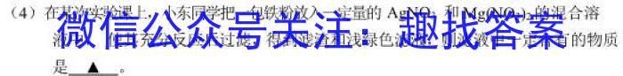 江淮名卷·2023年中考模拟信息卷（五）化学