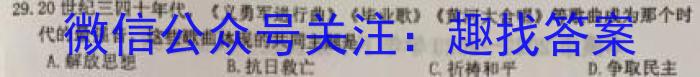 2022-023学年安徽省九年级下学期阶段性质量检测（六）历史