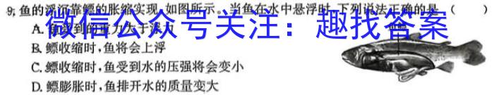 2023年陕西省初中学业水平考试全真模拟（三）C版物理.