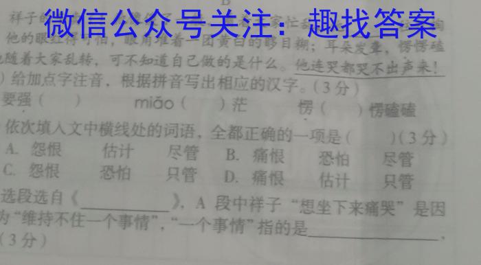 2022-2023学年安徽省九年级下学期阶段性质量监测（七）语文