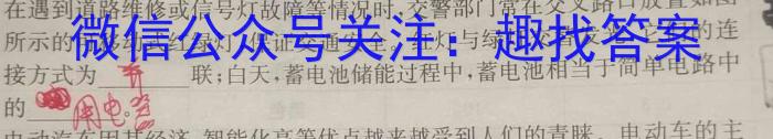 陕西学林教育 2022~2023学年度第二学期九年级期中调研试题(卷)l物理