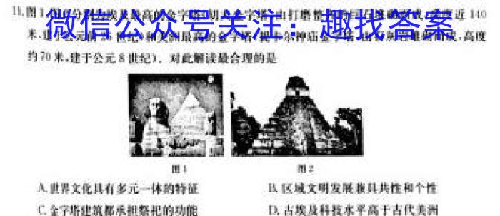 安徽省卓越县中联盟2023年高三年级4月联考历史