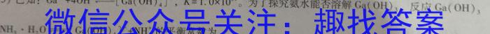 快乐考生 2023届双考信息卷·第七辑 一模精选卷 考向卷(四)化学