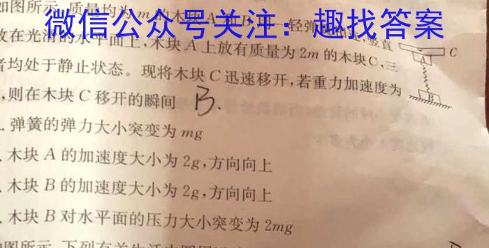 学林教育2023年陕西省初中学业水平考试·名师导向模拟卷(一)Bf物理