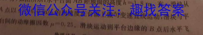 陕西省2023年九年级中考模拟卷4月联考f物理