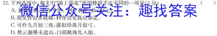 2023届普通高等学校招生全国统一考试 3月青桐鸣大联考(高三)(老高考)语文
