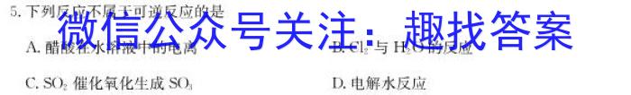 中考必刷卷·2023年安徽中考第一轮复习卷（八）化学