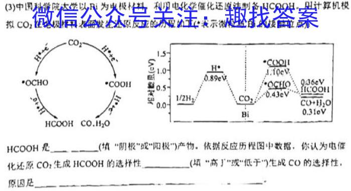 2024-2023学年山东省高一3月联考(23-312A)化学