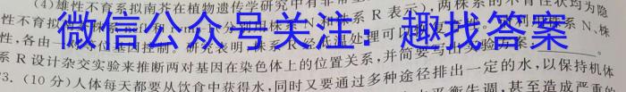 2023年普通高等学校招生全国统一考试信息模拟测试卷(新高考)(三)生物试卷答案
