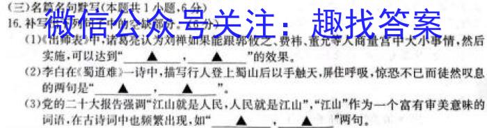 安师联盟2023年中考权威预测模拟考试（八）语文