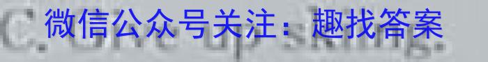 2023年河南省初中学业水平暨高级中等学校招生模拟考试（四）英语