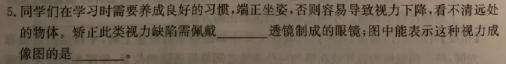2023届衡中同卷 信息卷 新高考/新教材(二)-物理