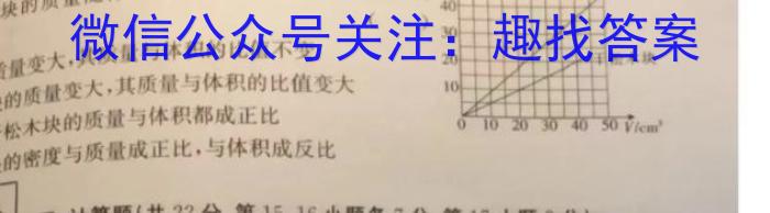 安徽省淮南市2023届九年级3月考试物理`