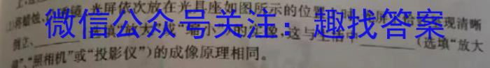 2023年普通高等学校招生全国统一考试仿真模拟卷(T8联盟)(六)6物理.