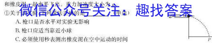衡水金卷先享题2024-2023下学期高三年级一模考试(老高考)q物理