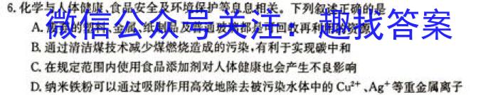 安徽省中考必刷卷·2023年名校内部卷（六）化学