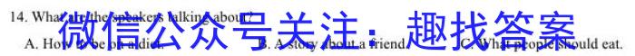 2023年湖北省新高考信息卷(四)英语