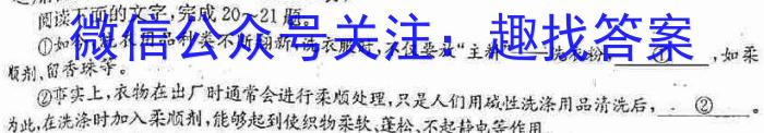 安徽省C20教育联盟2023年九年级第二次学业水平检测语文