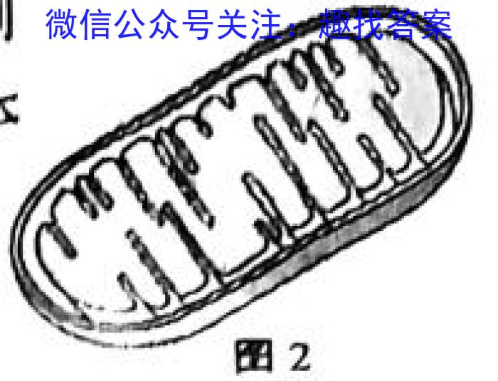 ［周口二模］2023届周口市高三年级第二次模拟考试生物