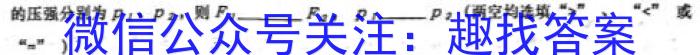 2023年湖北省新高考信息卷(二)物理.