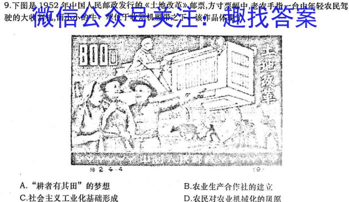 2022-023学年安徽省八年级下学期阶段性质量监测（六）历史