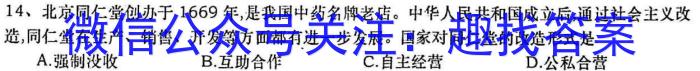 山西省2023年八年级下学期4月联考（23-CZ166b）政治~