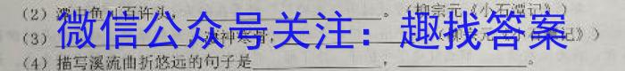 [定西二模]2023年定西市普通高考模拟考试语文