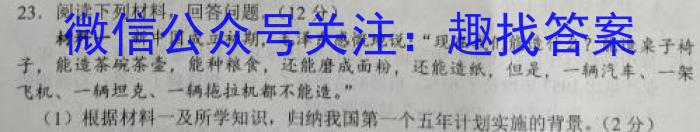 安徽省淮南市2023届九年级3月考试历史