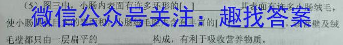 2023年普通高等学校招生全国统一考试·调研模拟卷XK-QG(四)生物