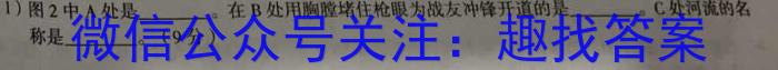 2023年普通高等学校招生全国统一考试·调研模拟卷XK-QG(三)历史试卷