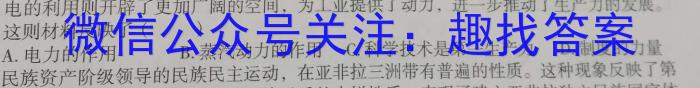 河南大联考2023年高三年级4月联考政治s