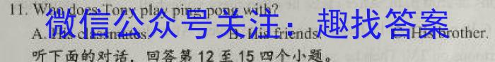 中考仿真卷2023年山西省初中学业水平考试(四)英语