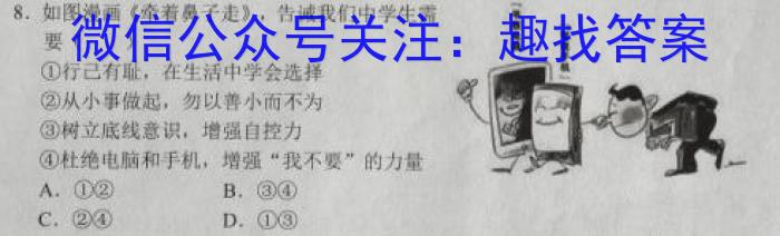 2023年湖南省普通高中学业水平合格性考试模拟试卷(六)s地理