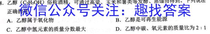 2023年普通高等学校招生全国统一考试信息模拟测试卷(新高考)(一)f物理