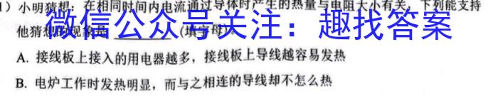 2023池州市一模统考高三3月大联考.物理