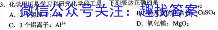 安徽2022~2023学年九年级联盟考试(二)(23-CZ125c)化学