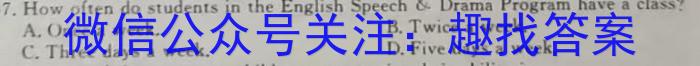 2023届名校之约·中考导向总复习模拟样卷 二轮(六)英语